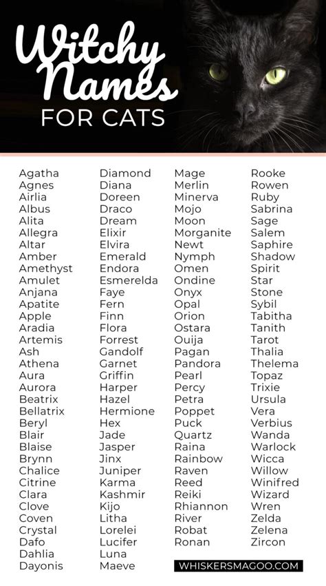 Enigmatic Names for Your Witch Pet
